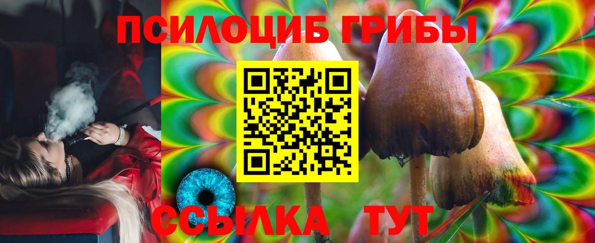 Галлюциногенные грибы мухоморы  Галлюциногенные грибы Psilocybe  Вход с VPN  Новозыбков 